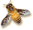anim-abeil