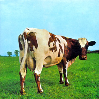 pinkfloyd