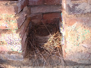 DSC00109