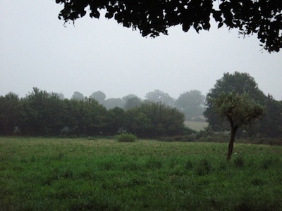 mist