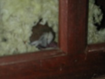 DSCN2494