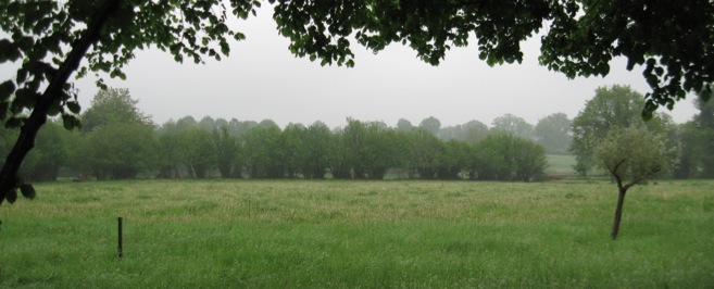 voorjaar2010